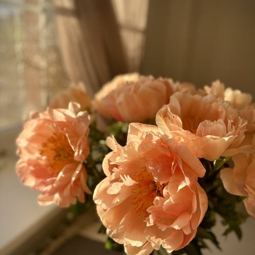 Photo #13890899