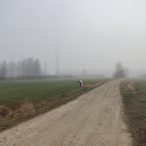 Photo #13891040