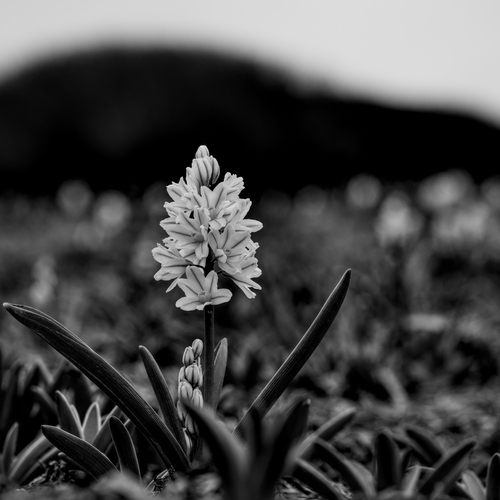 Photo #13891045