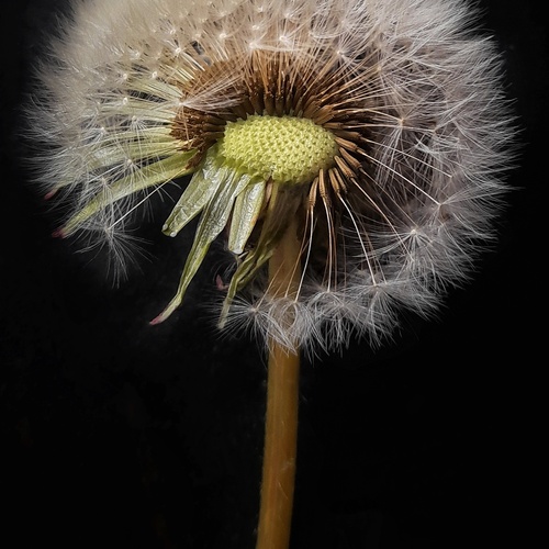 Photo #13891065