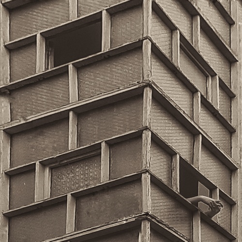 Photo #13891272