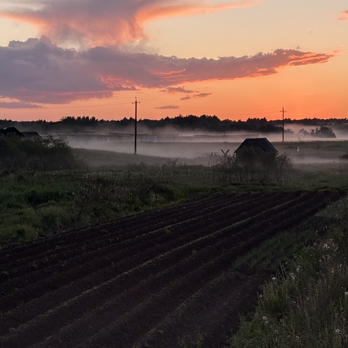 Photo #13891486