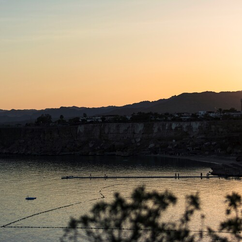 Photo #13891529