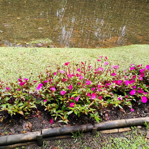 Photo #13891533