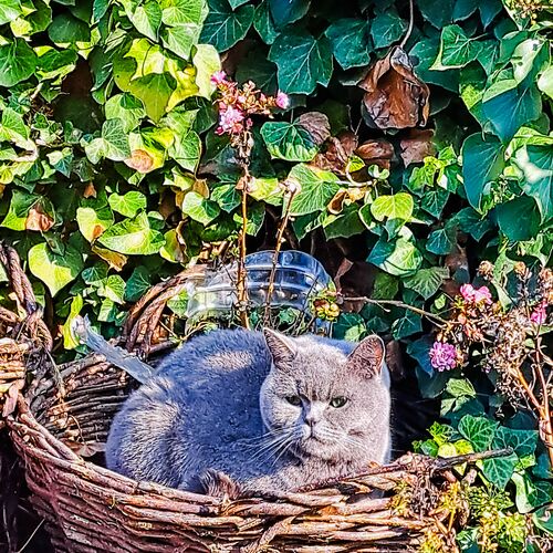 Photo #13891613