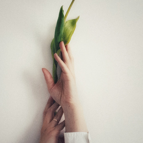 Photo #13891671