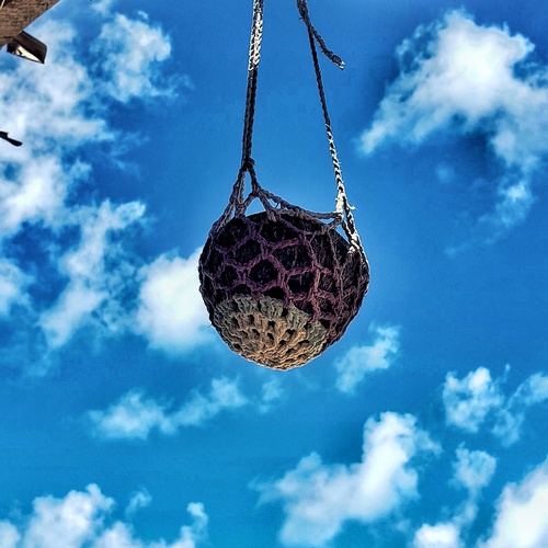 Photo #13891676