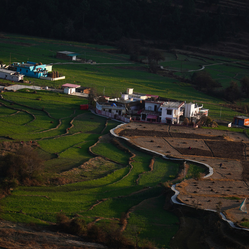Photo #13891708
