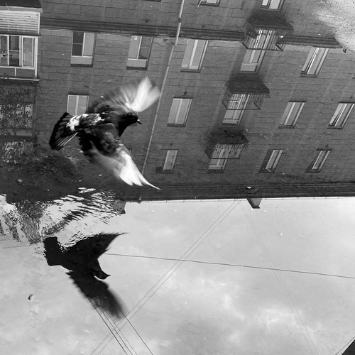 Photo #13891816