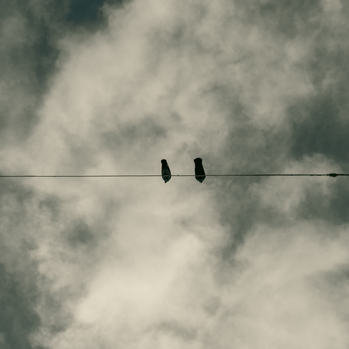 Photo #13891843