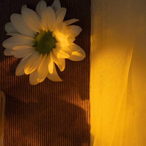Photo #13891846