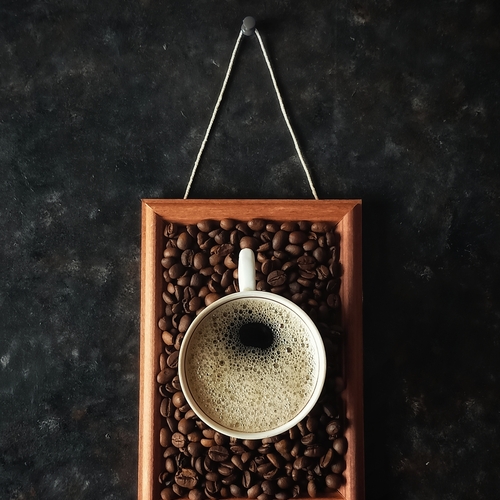 Photo #13891856