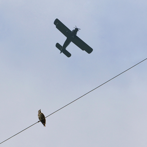 Photo #13891928