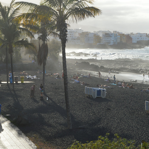 Photo #13892008