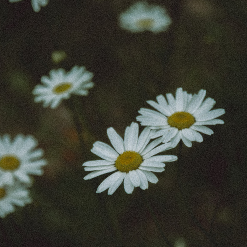 Photo #13892111