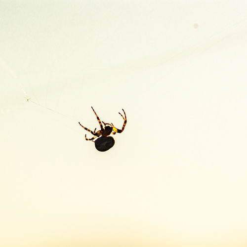 Photo #13892244
