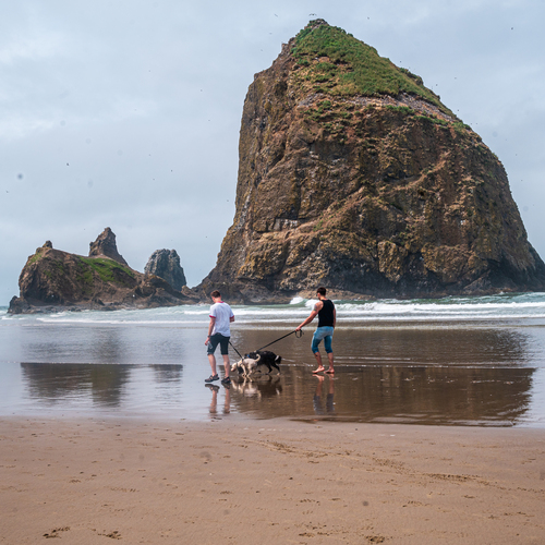 Photo #13892464