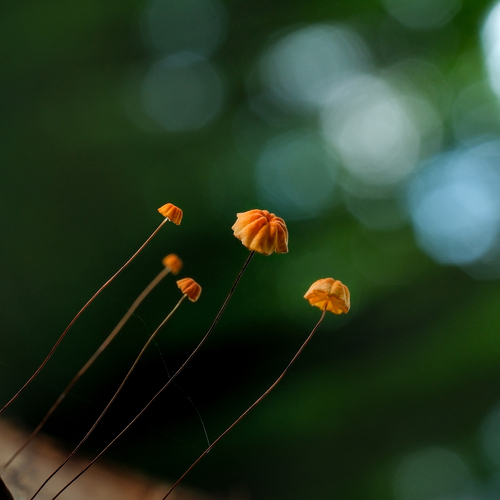 Photo #13892494