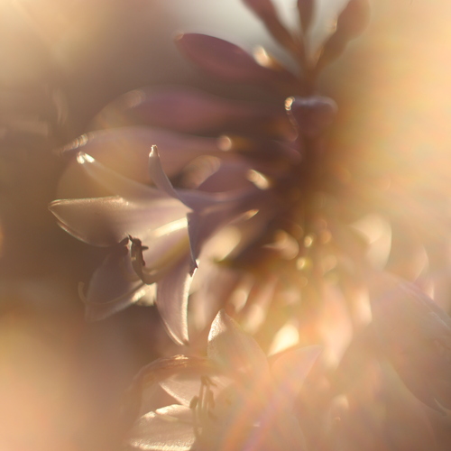 Photo #13892604