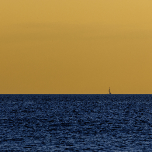 Photo #13892691