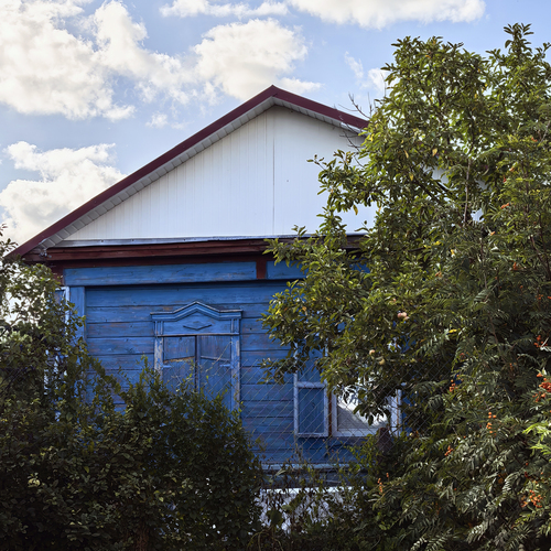 Photo #13892741