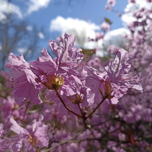 Photo #13892989