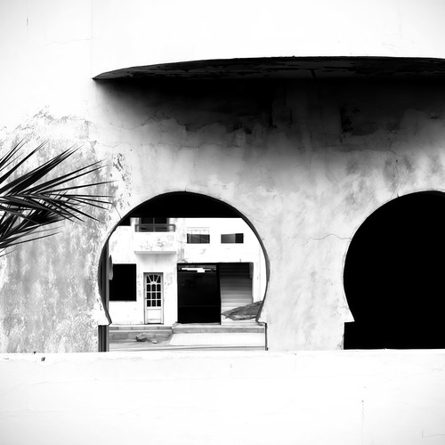 Photo #13893014