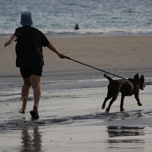 Photo #13893059