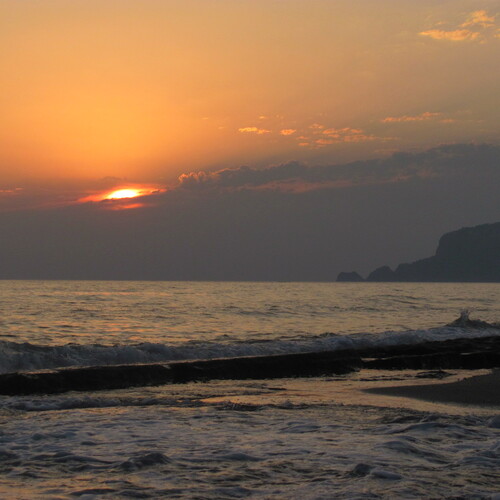 Photo #13893061