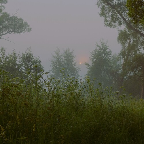 Photo #13893339