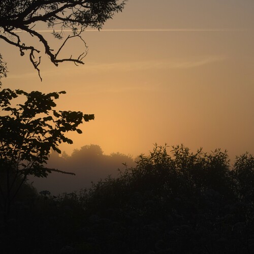 Photo #13893340