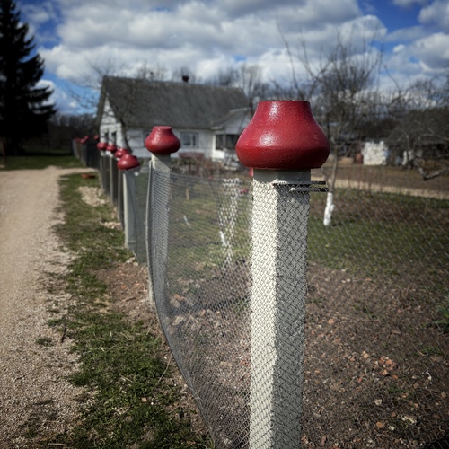 Photo #13893400