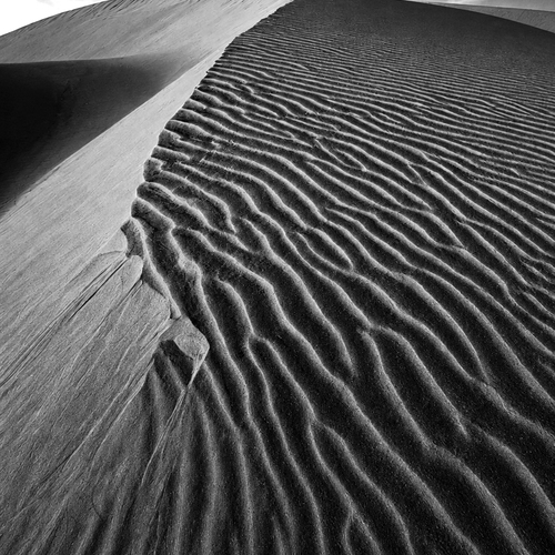 On the sand hill