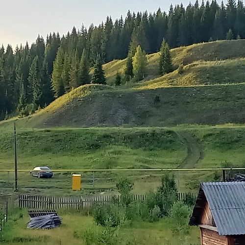 Photo #13893502