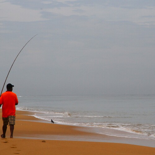 Photo #13893669