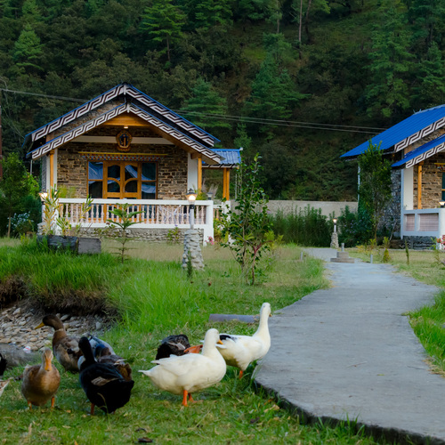 Duck March