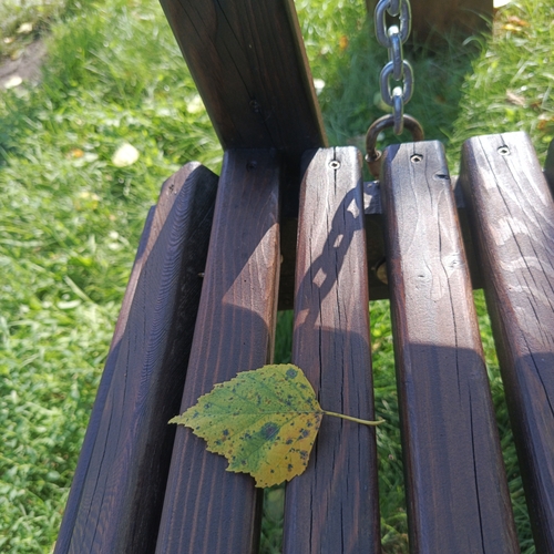 Photo #13893770