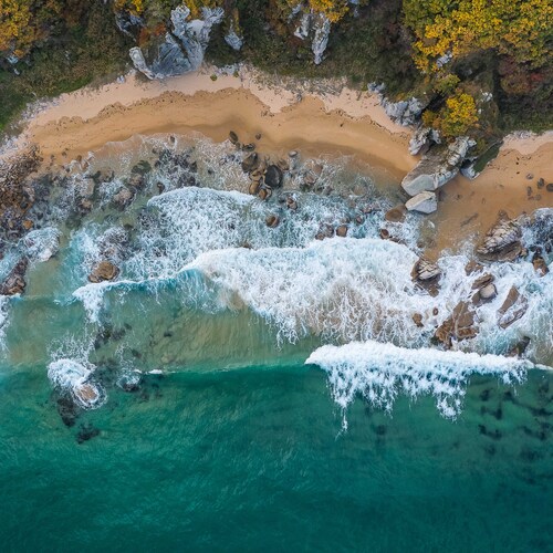 Photo #13893913