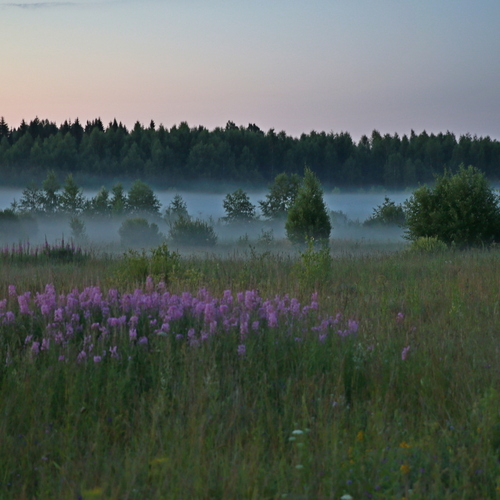 Photo #13893996