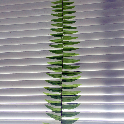 Photo #13894001