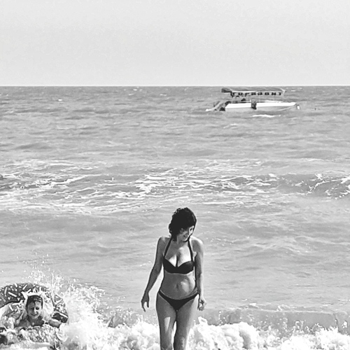 Photo #13894108
