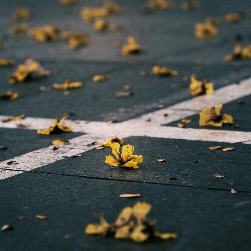 Photo #13894111