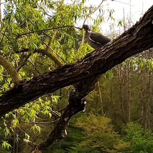 Photo #13894119
