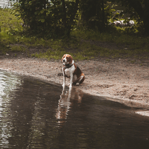 Photo #13894179