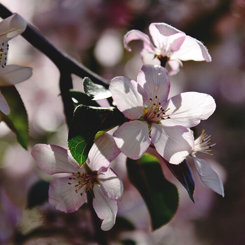 Photo #13894399