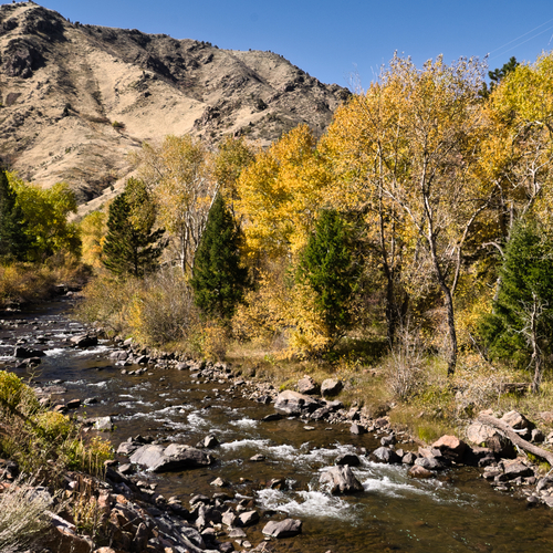 Autumn Tapestry in the Colorado Rockies