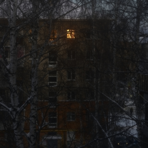 Photo #13894498