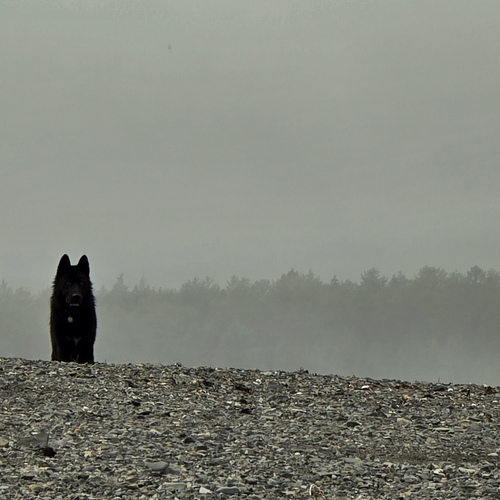 Photo #13894522