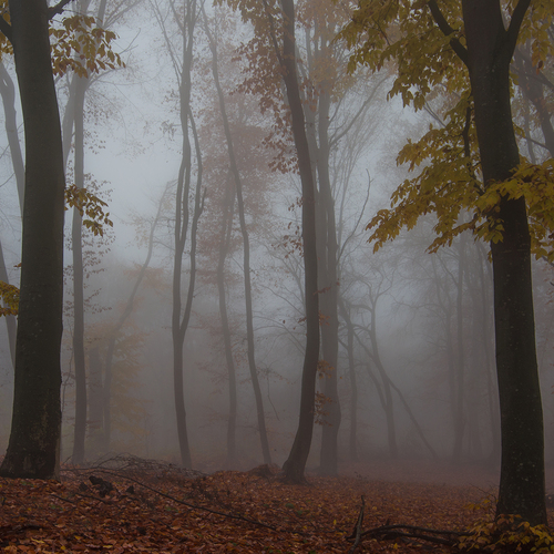 Photo #13894526