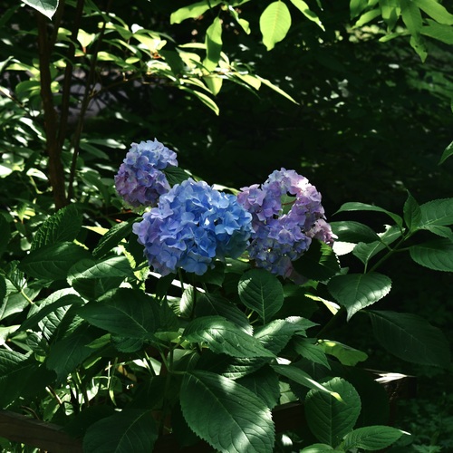 Photo #13894538